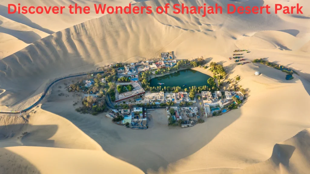 Discover the Wonders of Sharjah Desert Park